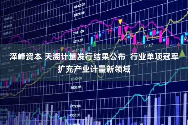 泽峰资本 天溯计量发行结果公布  行业单项冠军扩充产业计量新领域